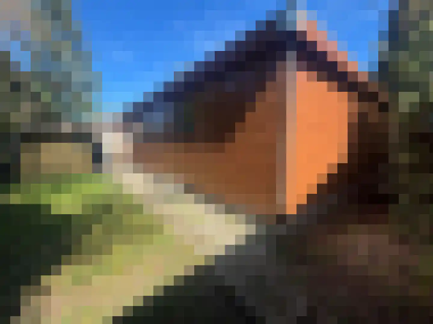 Apeldoornsestraat 48 144 Voorthuizen thumbnail 35