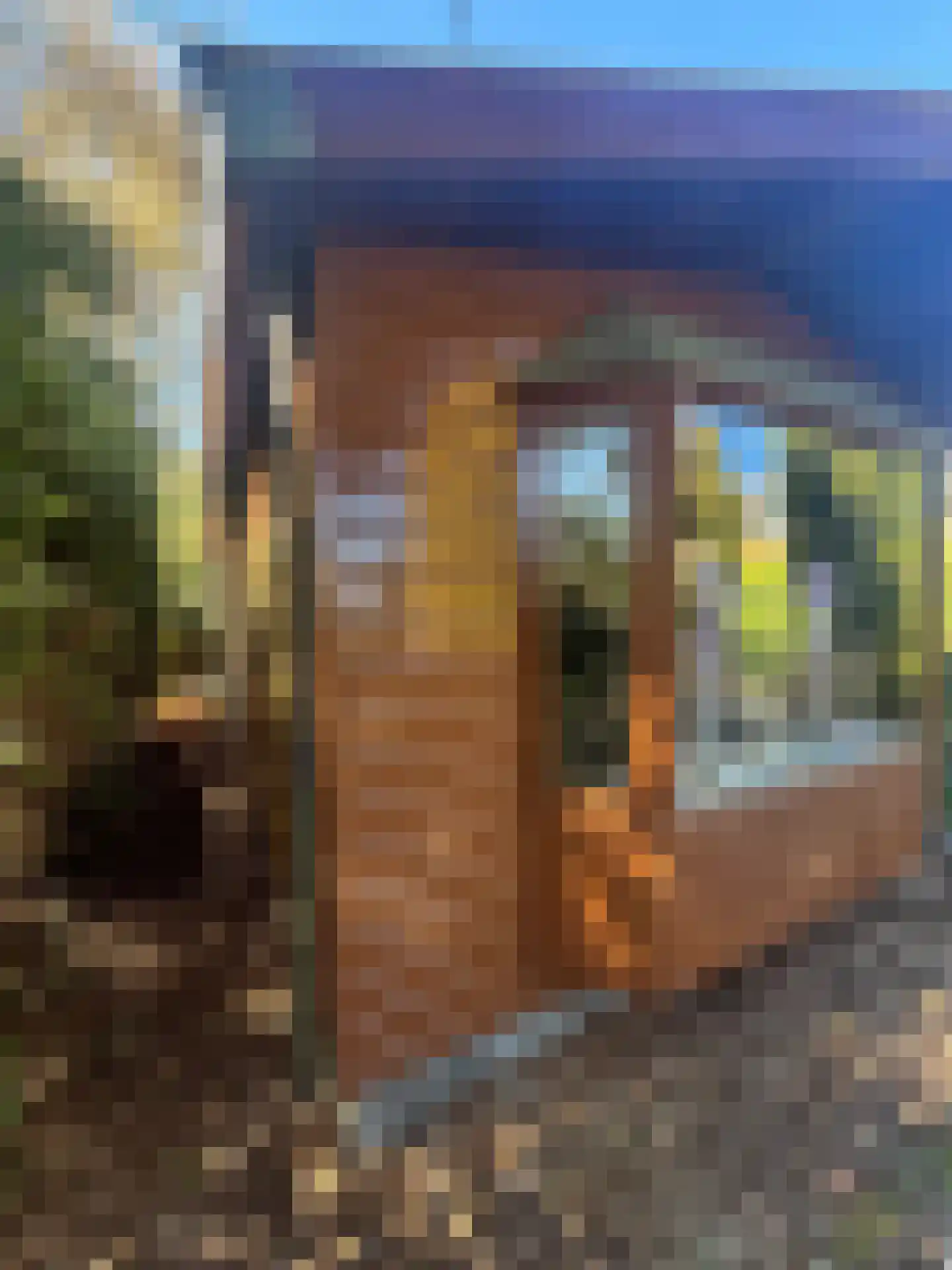 Apeldoornsestraat 48 144 Voorthuizen thumbnail 37