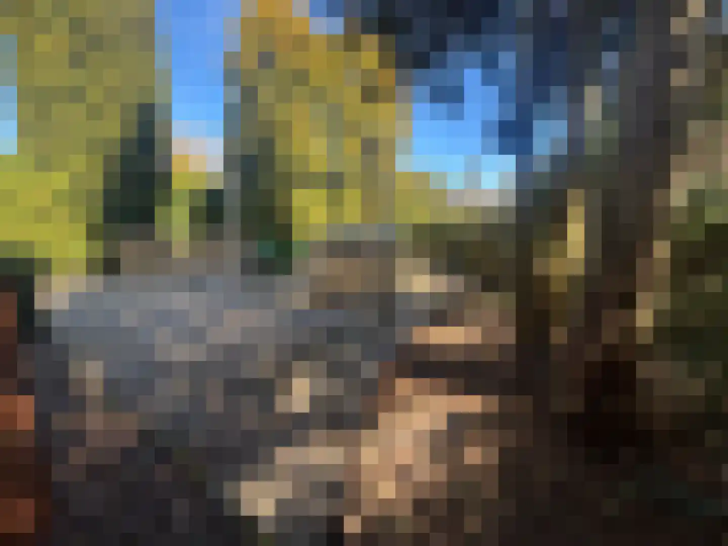 Apeldoornsestraat 48 144 Voorthuizen thumbnail 5
