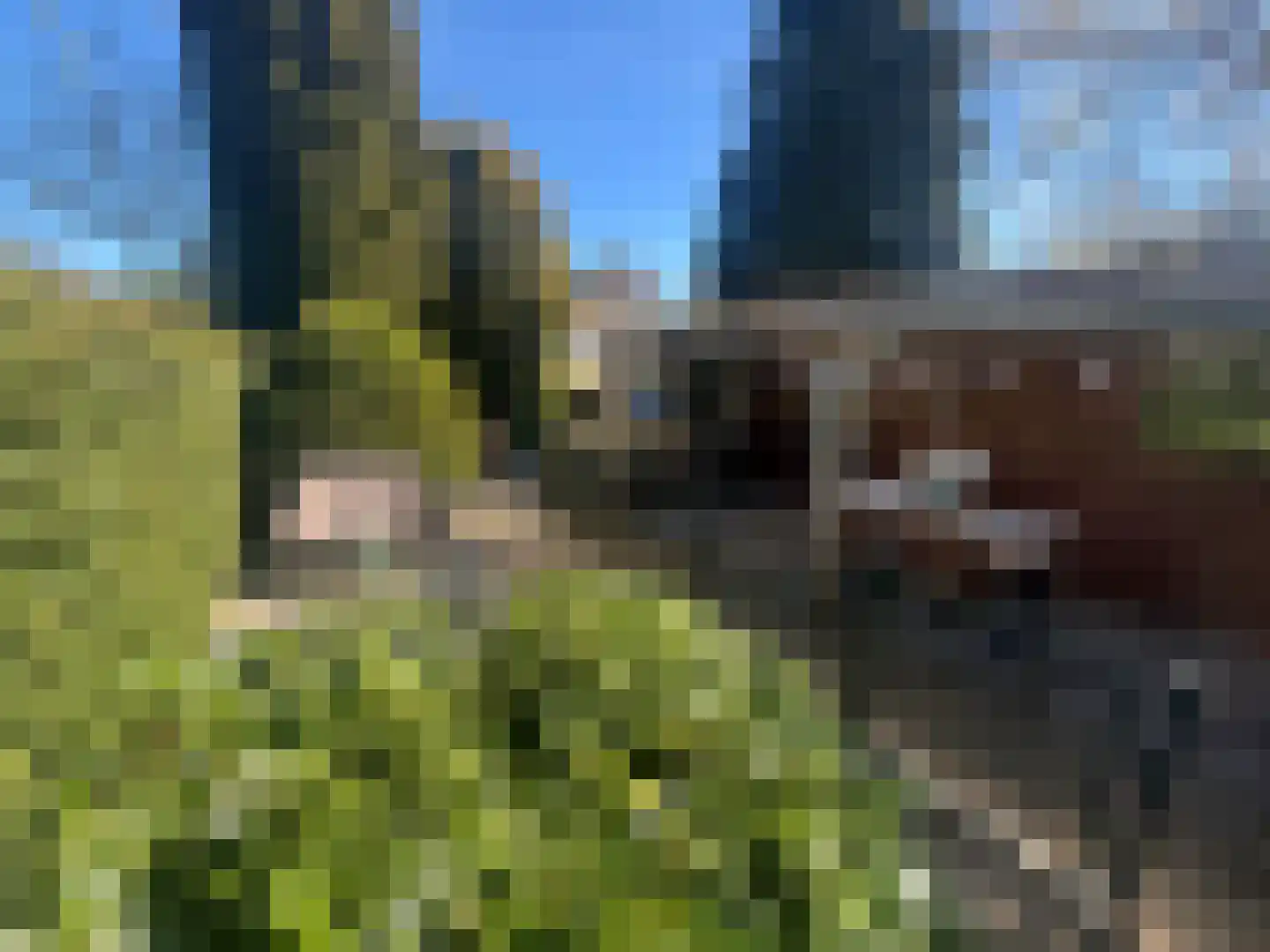 Apeldoornsestraat 48 144 Voorthuizen thumbnail 8