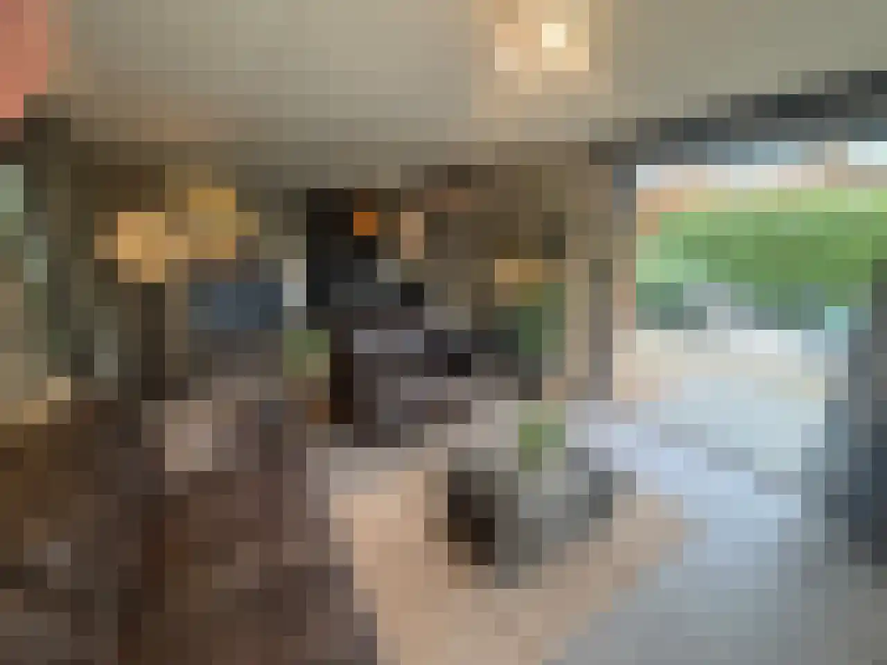 Apeldoornsestraat 48 144 Voorthuizen thumbnail 9