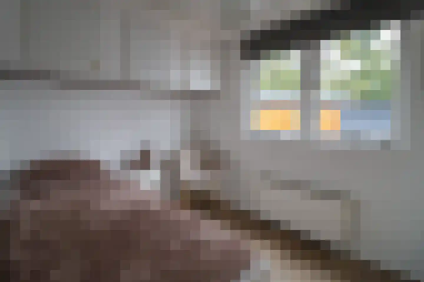Apeldoornsestraat 48 32 Voorthuizen thumbnail 17