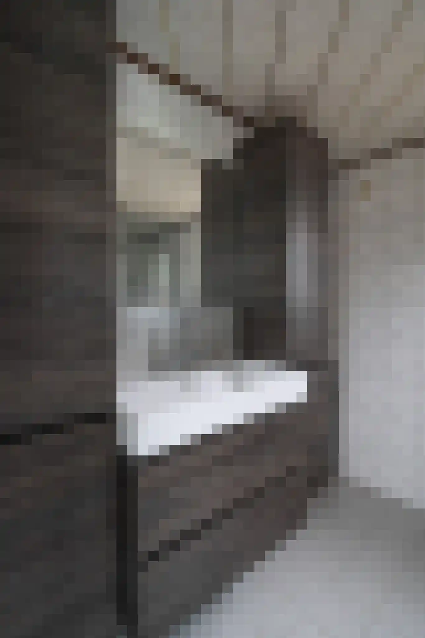 Apeldoornsestraat 48 32 Voorthuizen thumbnail 23