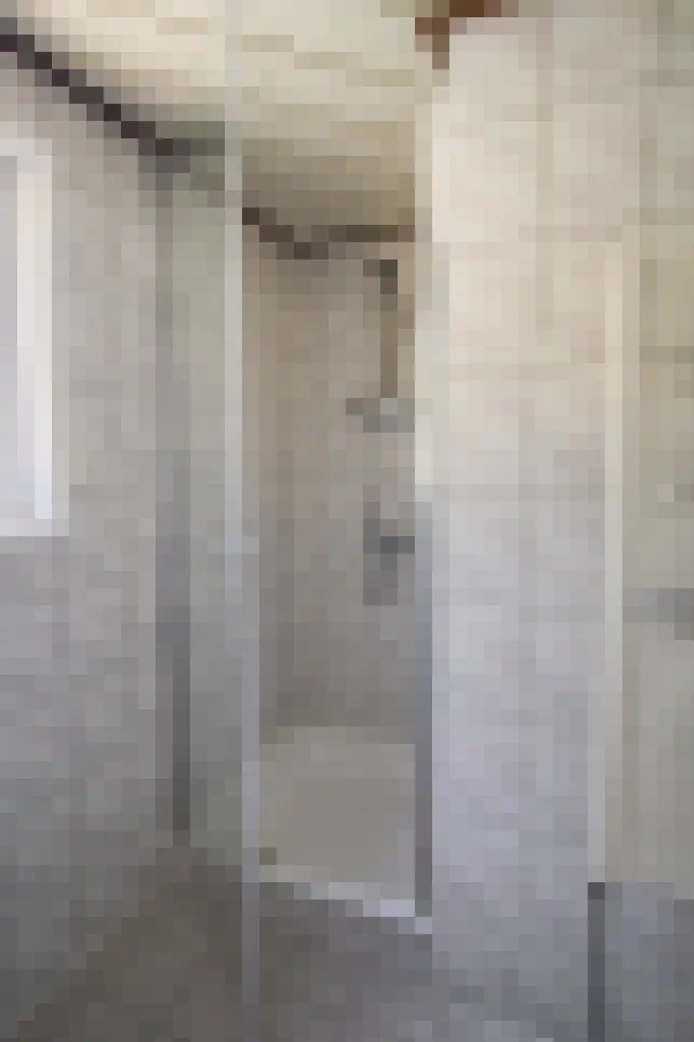 Apeldoornsestraat 48 32 Voorthuizen thumbnail 26