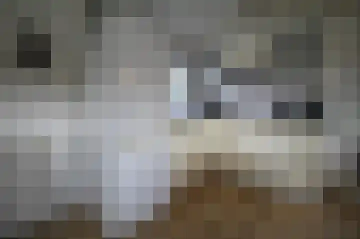Apeldoornsestraat 48 36 Voorthuizen thumbnail 8