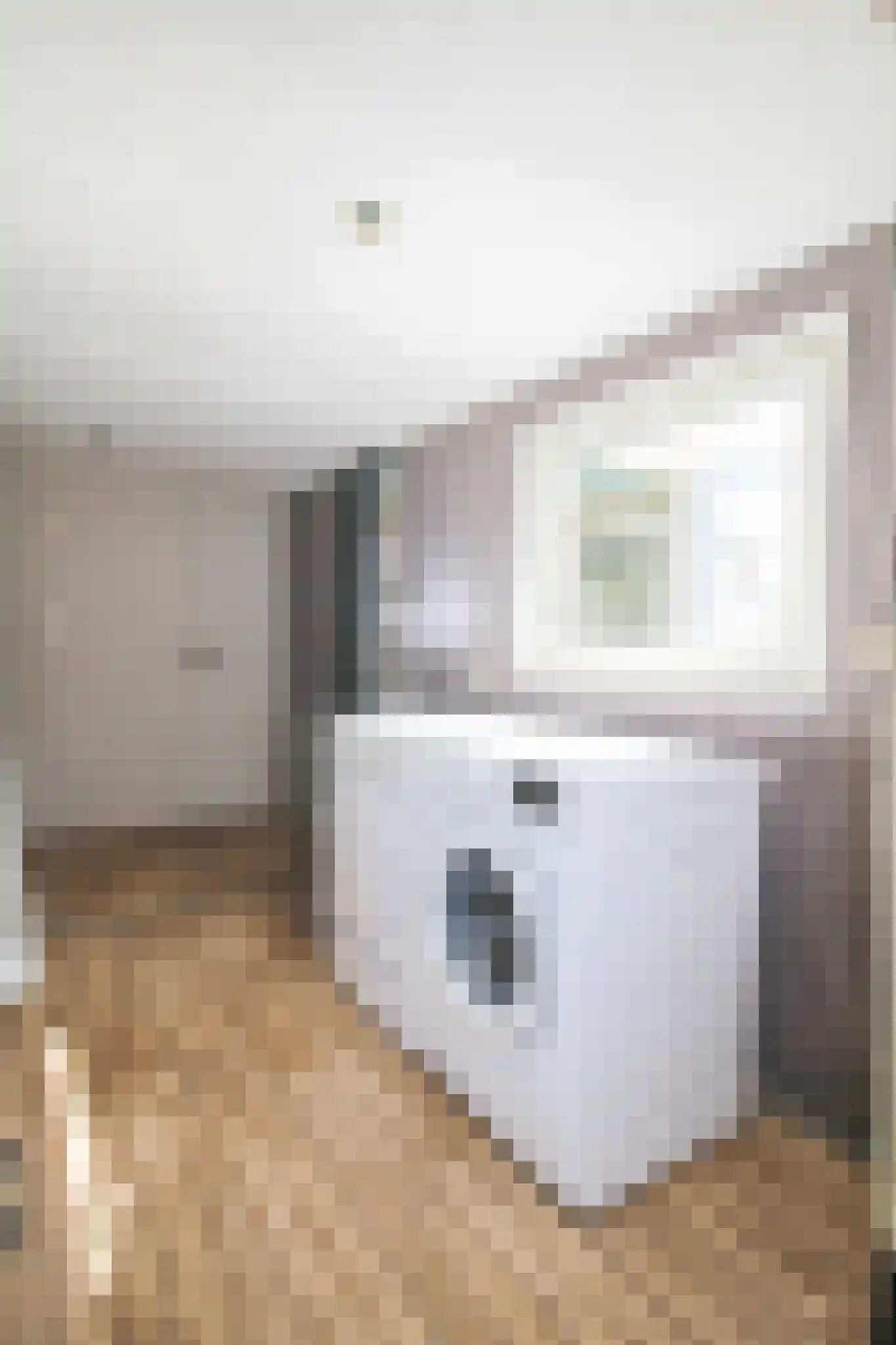 Apeldoornsestraat 48 43 Voorthuizen thumbnail 12