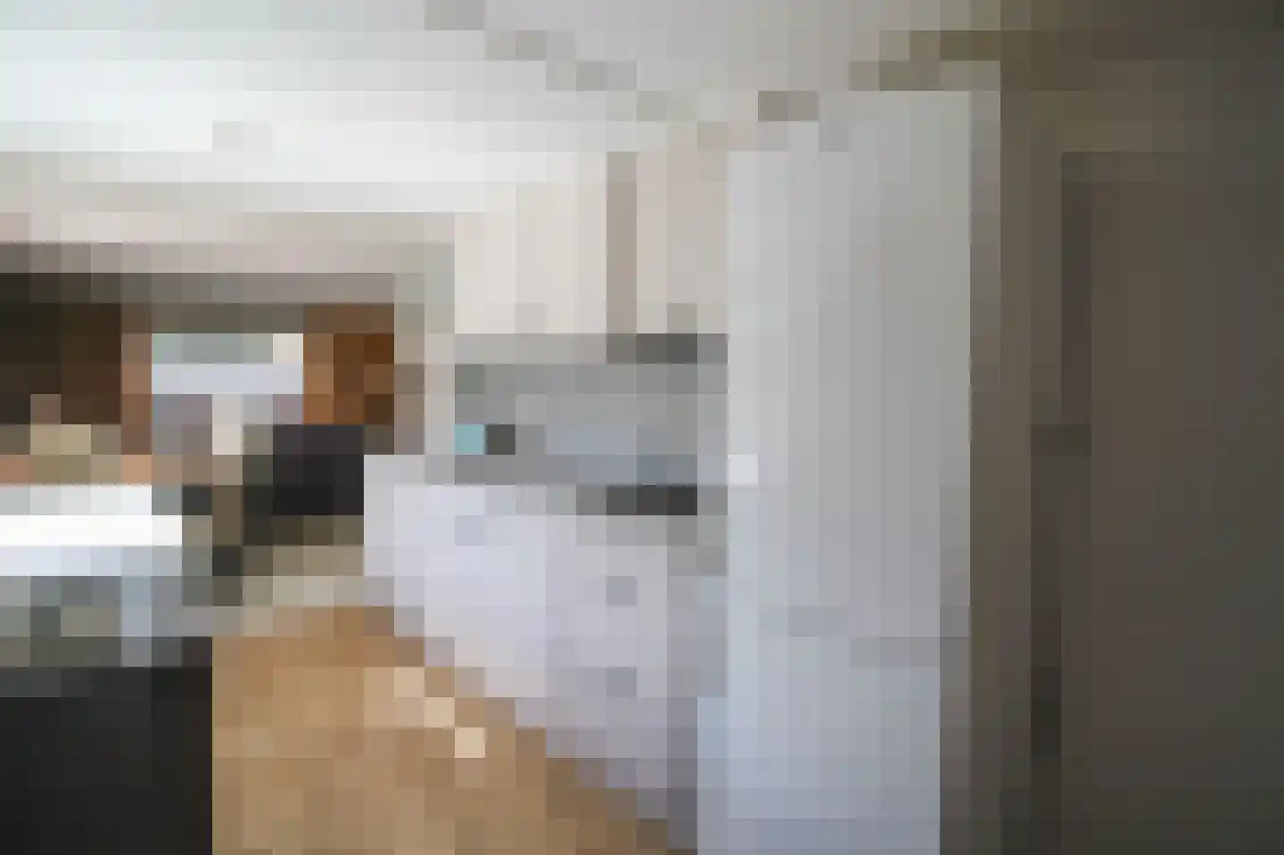 Apeldoornsestraat 48 43 Voorthuizen thumbnail 13