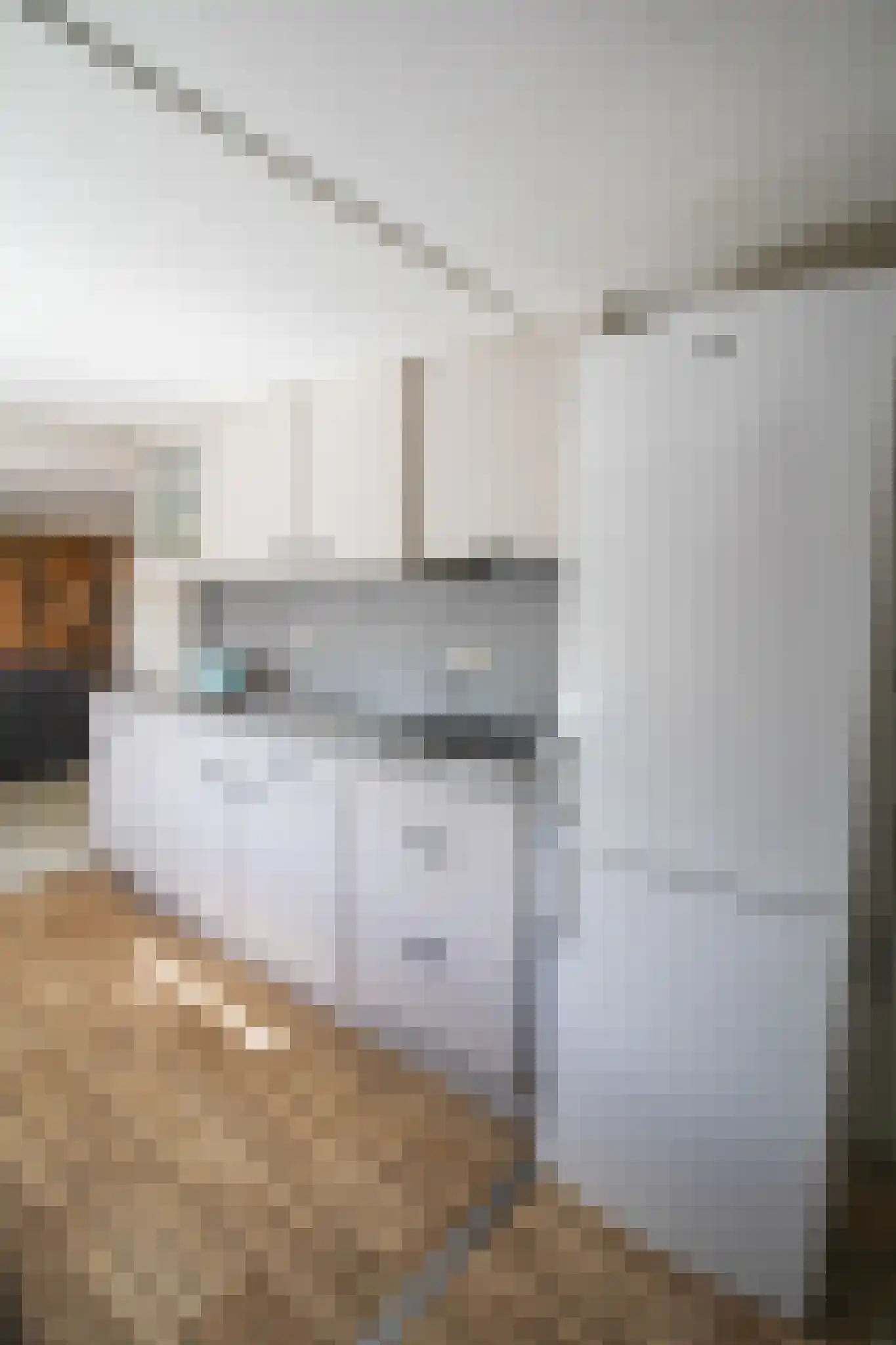 Apeldoornsestraat 48 43 Voorthuizen thumbnail 14