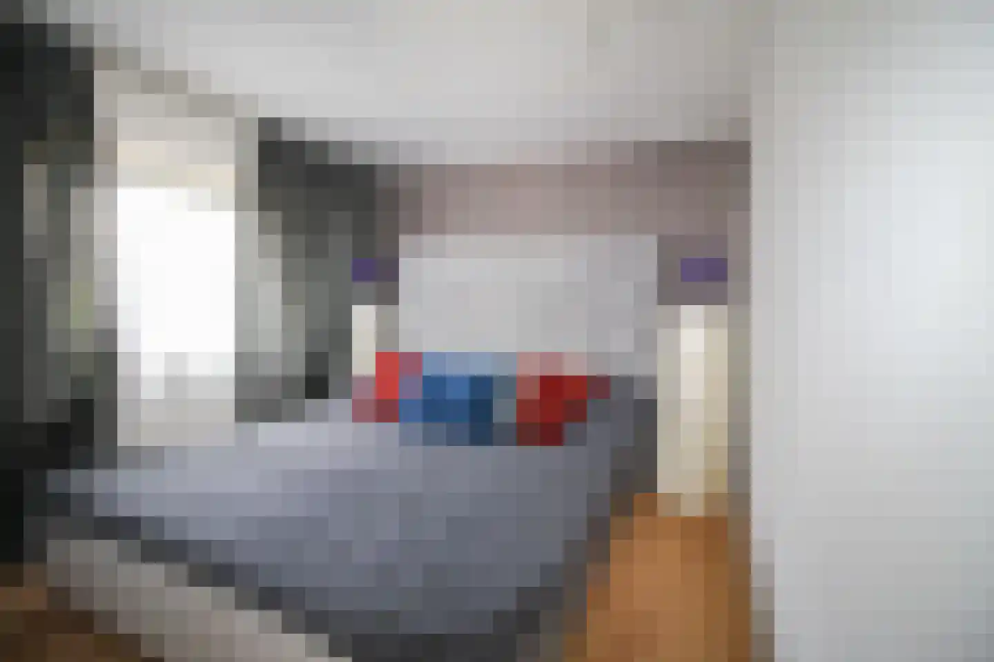 Apeldoornsestraat 48 43 Voorthuizen thumbnail 15