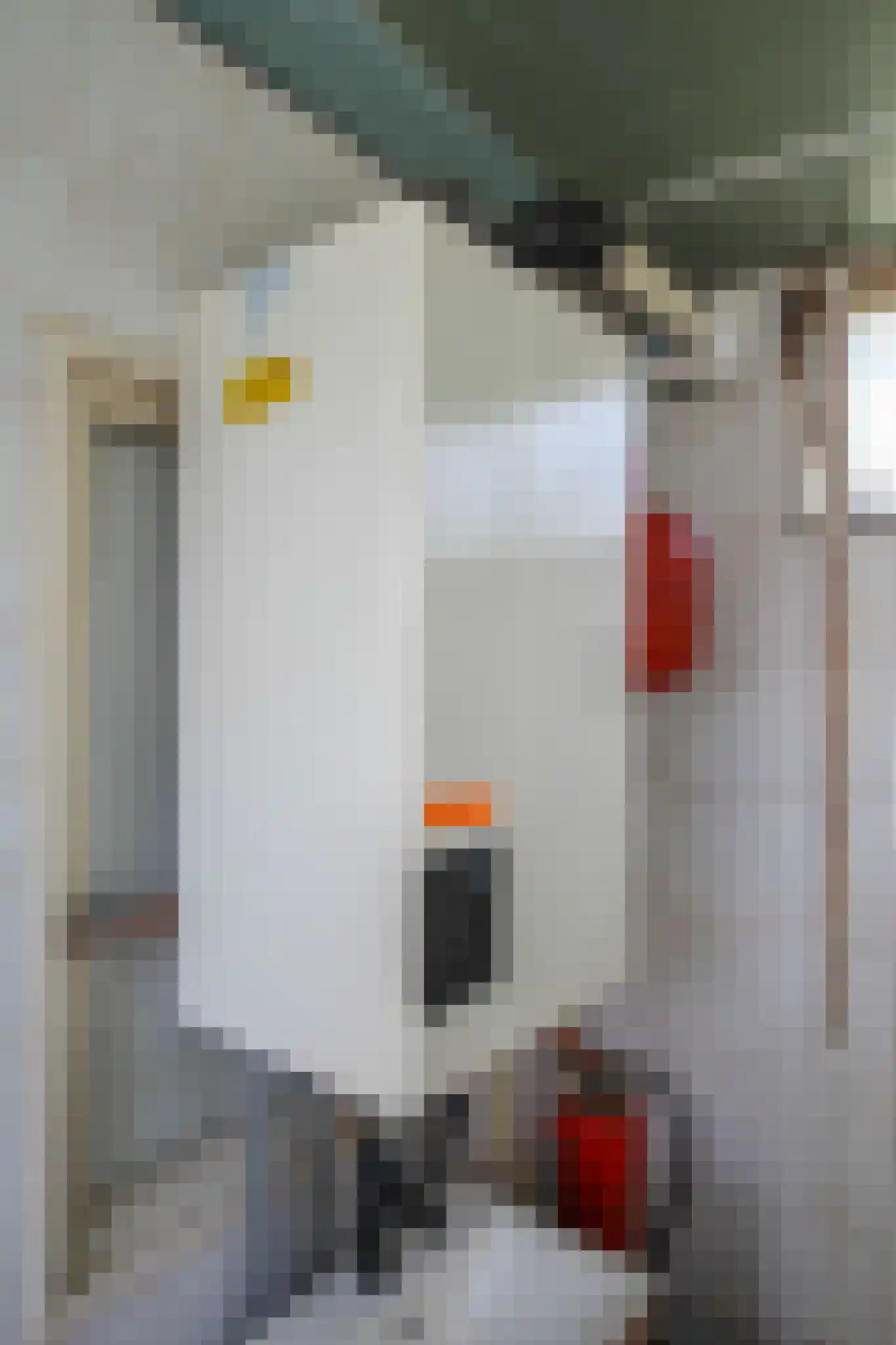 Apeldoornsestraat 48 43 Voorthuizen thumbnail 21