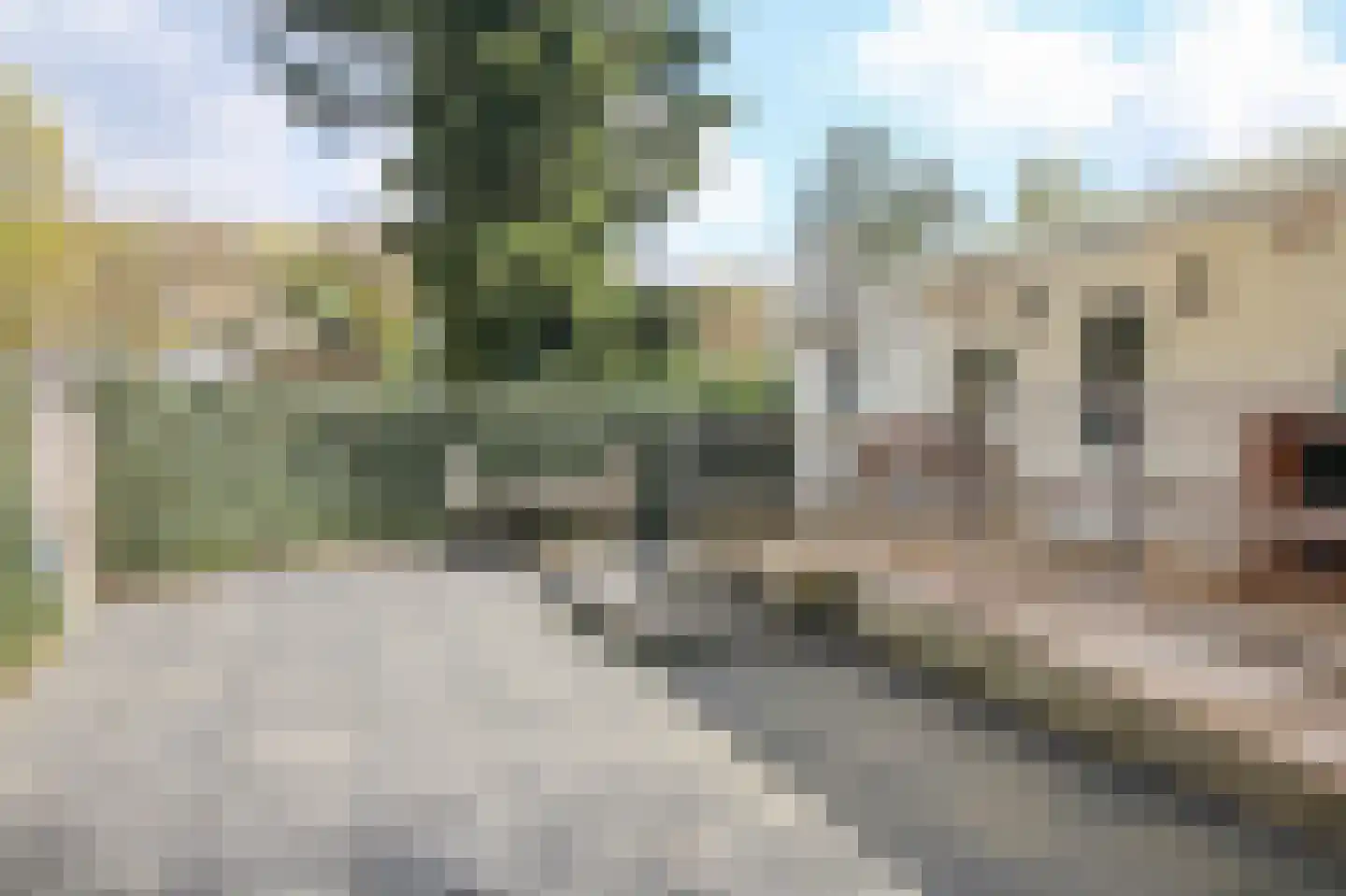 Apeldoornsestraat 48 43 Voorthuizen thumbnail 29