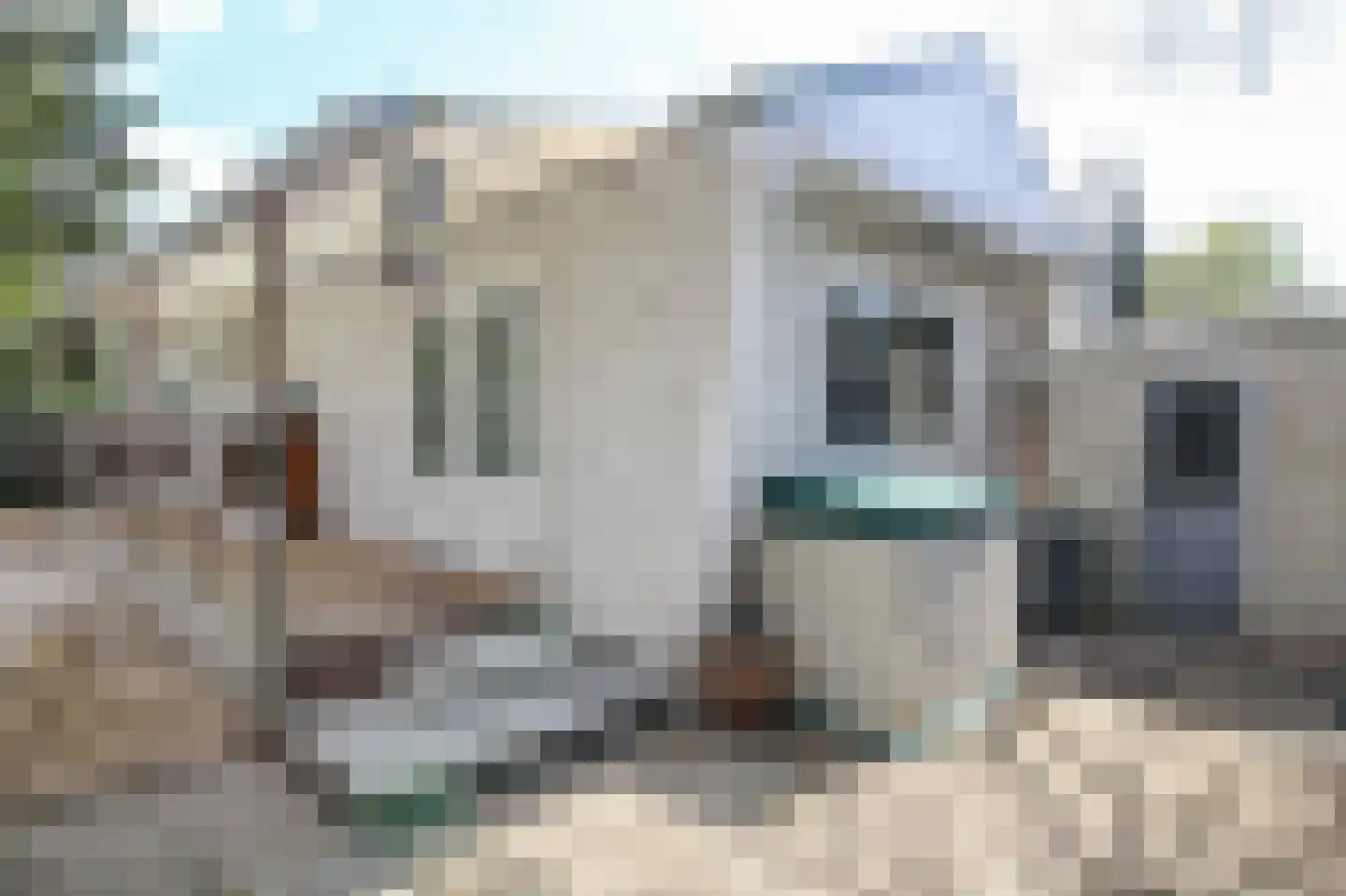 Apeldoornsestraat 48 43 Voorthuizen thumbnail 30