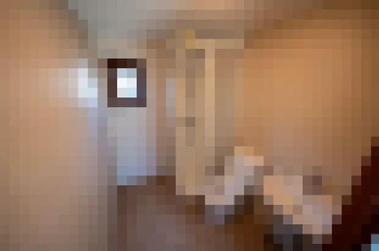 Apeldoornsestraat 48 60B Voorthuizen thumbnail 5