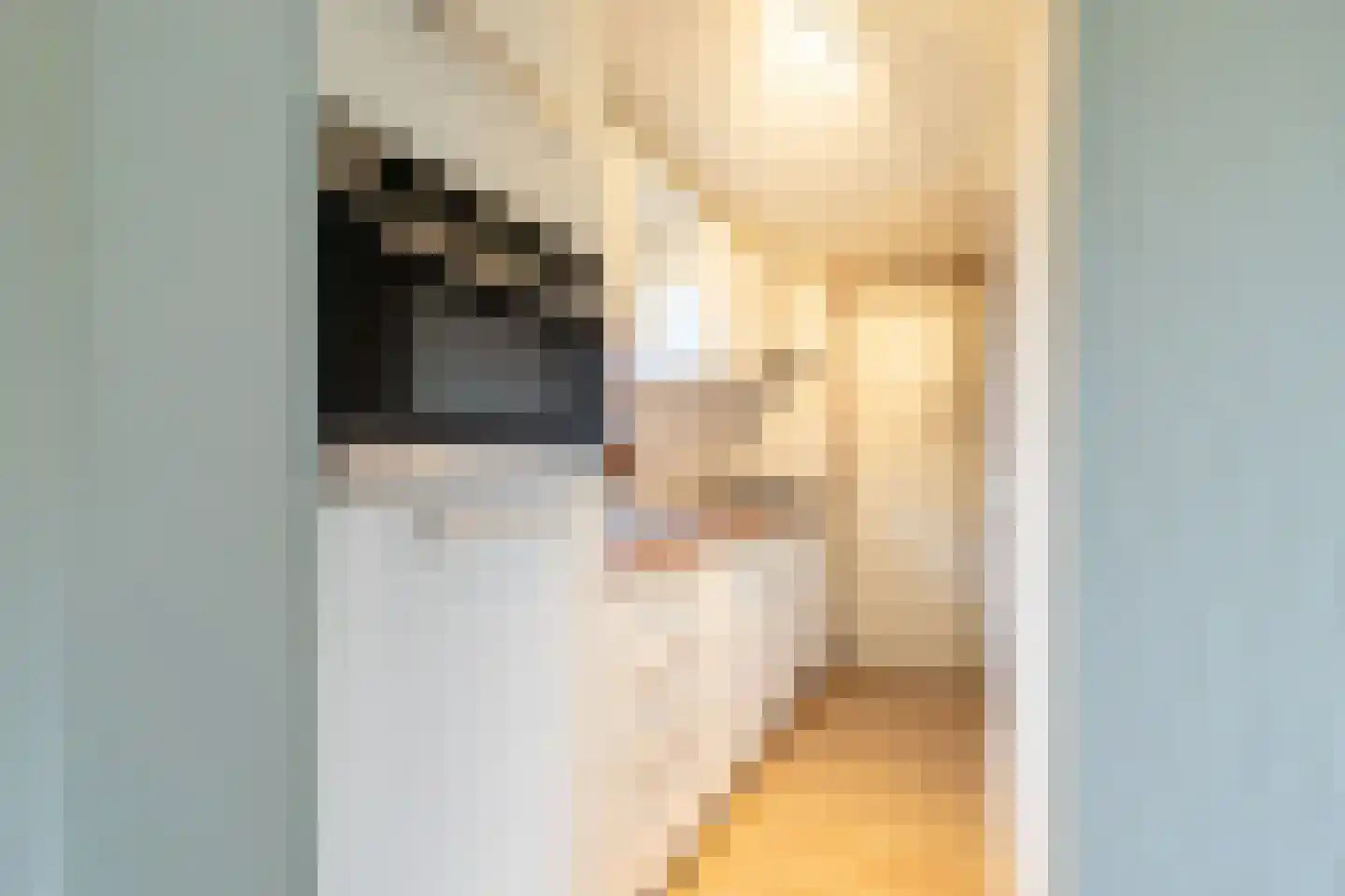 Apeldoornsestraat 48 68 Voorthuizen thumbnail 10