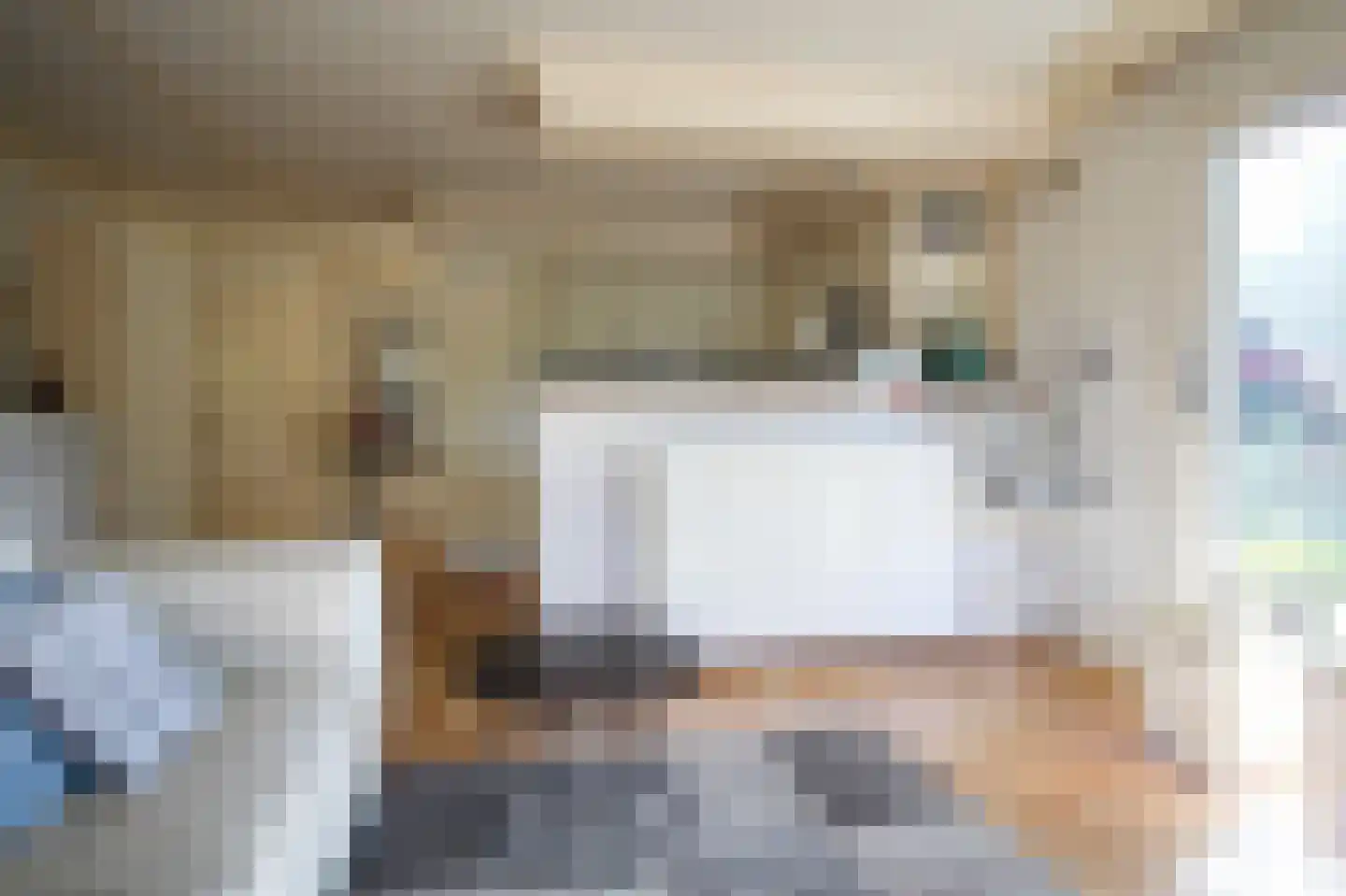 Apeldoornsestraat 48 72 Voorthuizen thumbnail 10