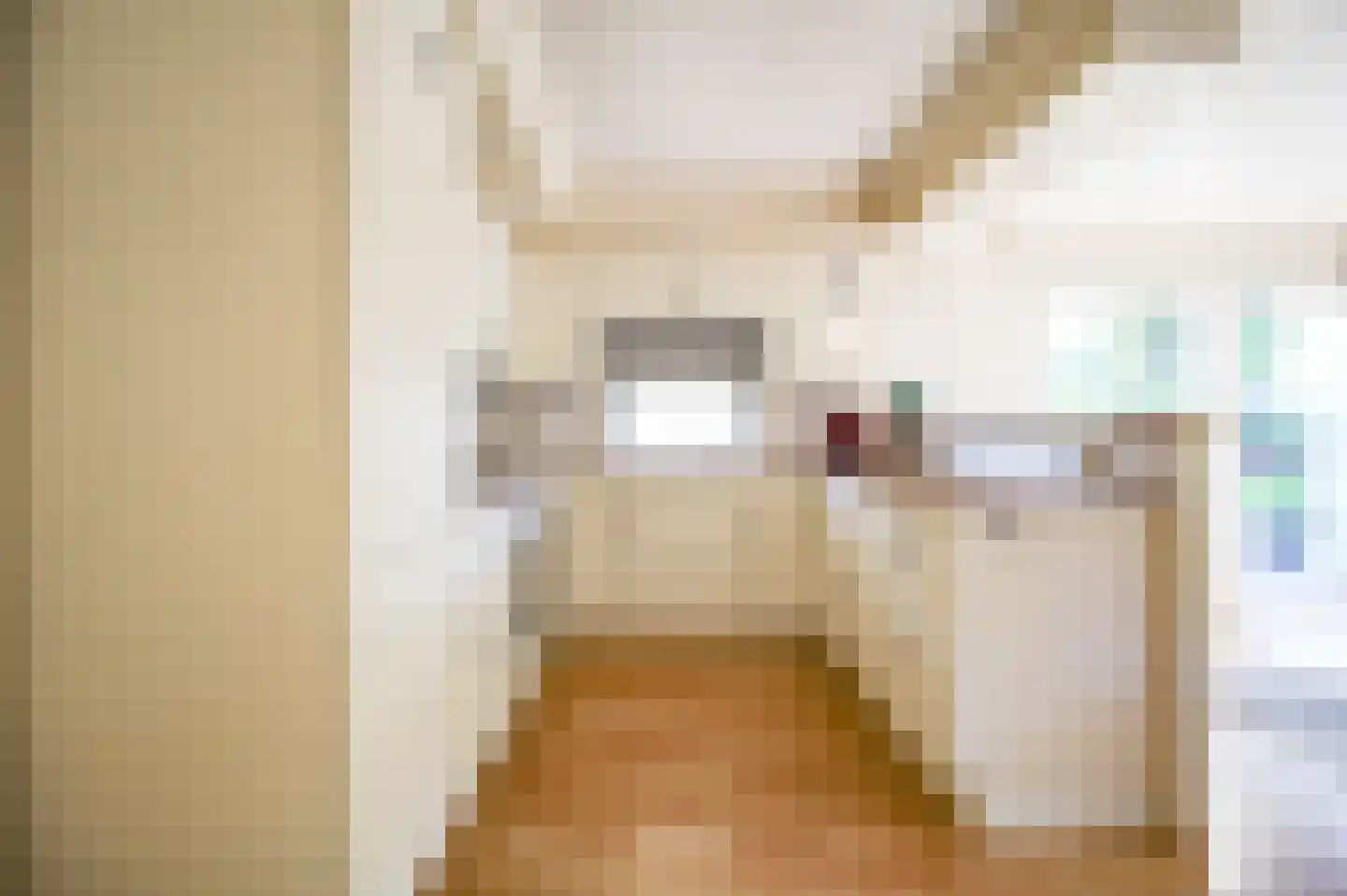 Apeldoornsestraat 48 72 Voorthuizen thumbnail 11