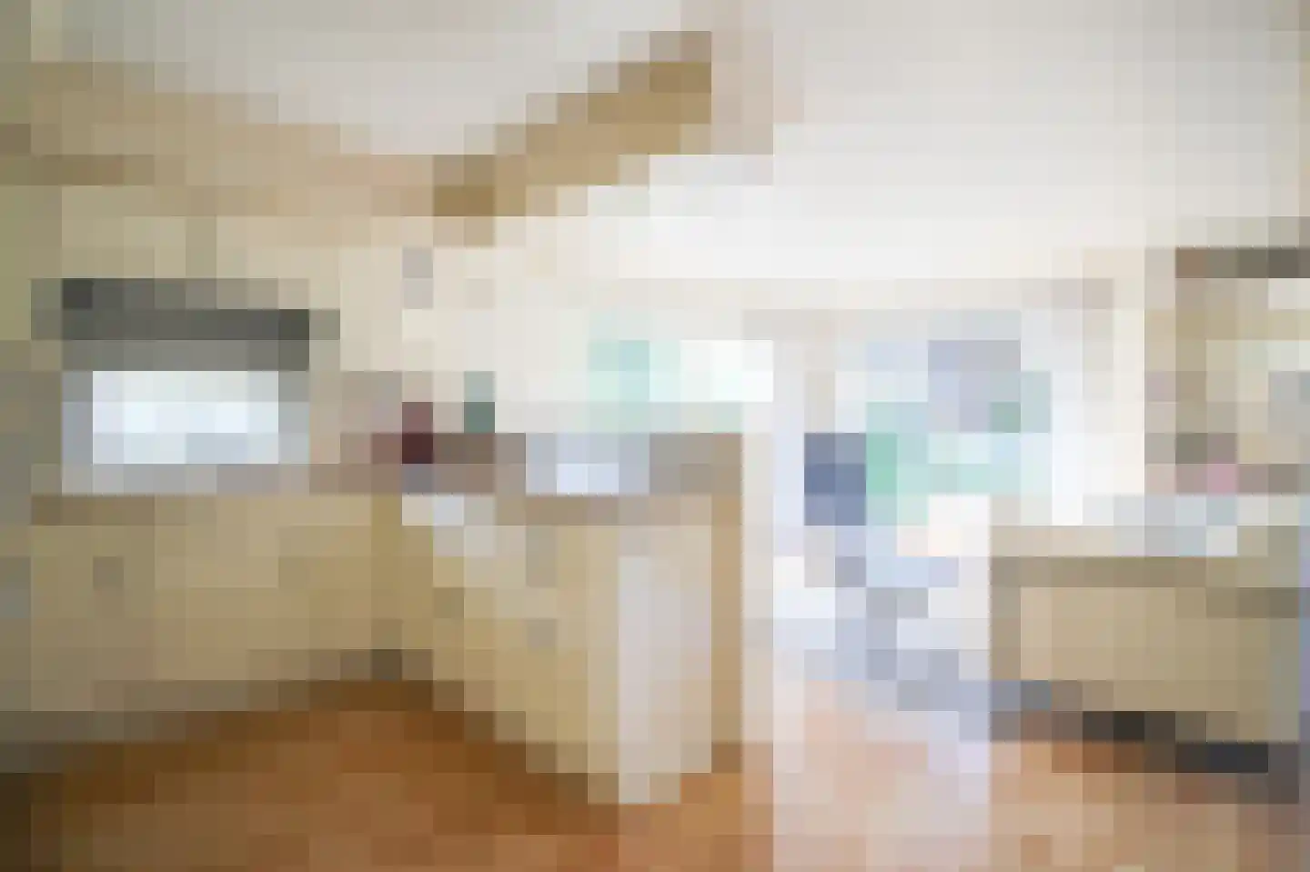 Apeldoornsestraat 48 72 Voorthuizen thumbnail 15