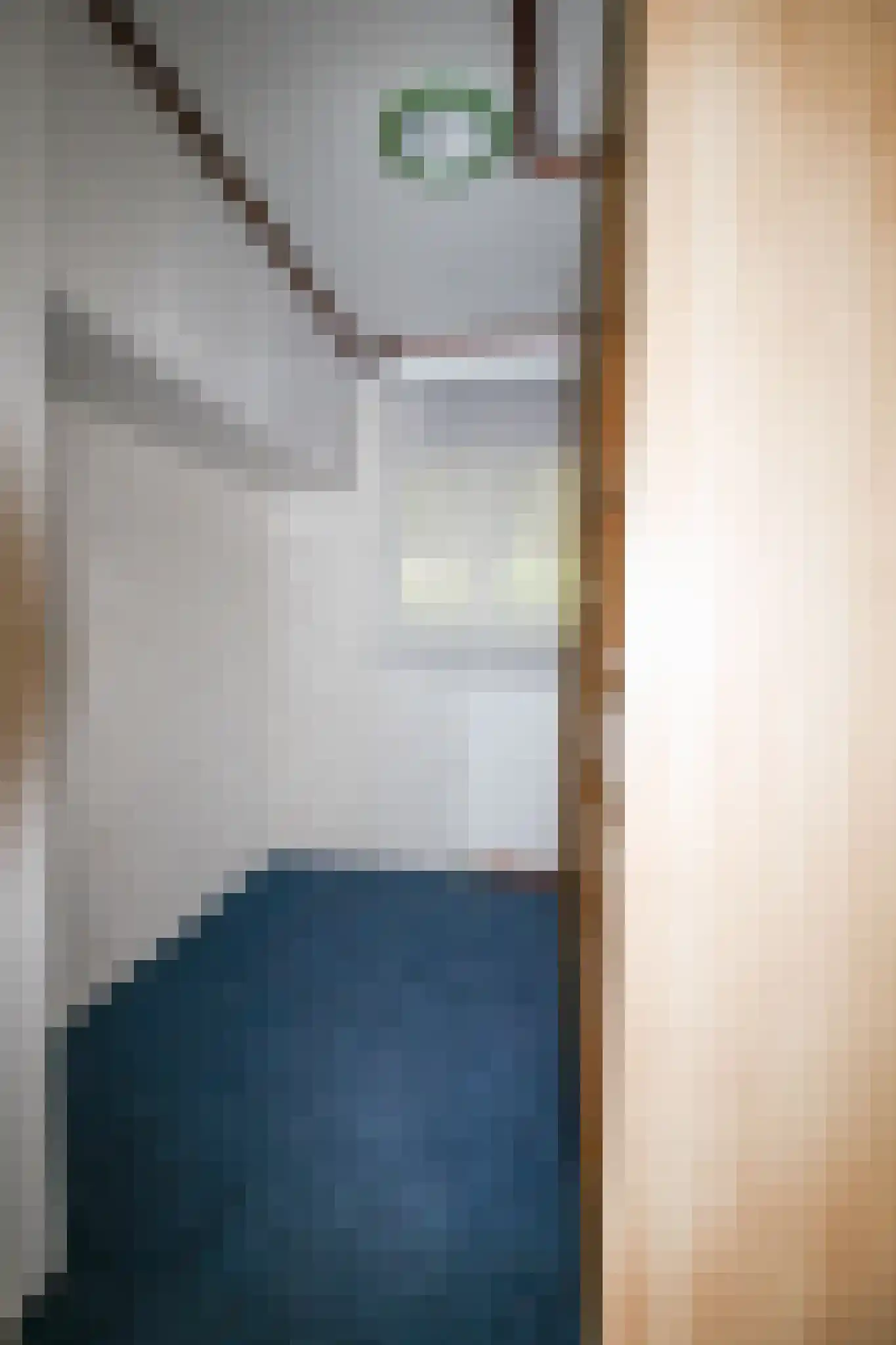 Apeldoornsestraat 48 72 Voorthuizen thumbnail 20