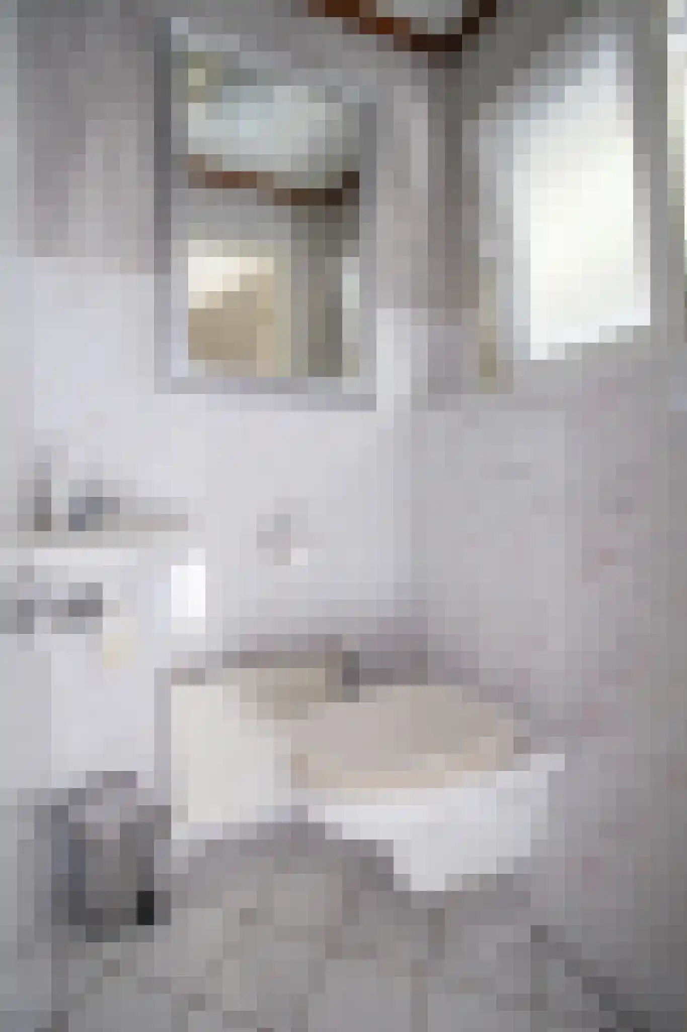 Apeldoornsestraat 48 72 Voorthuizen thumbnail 22