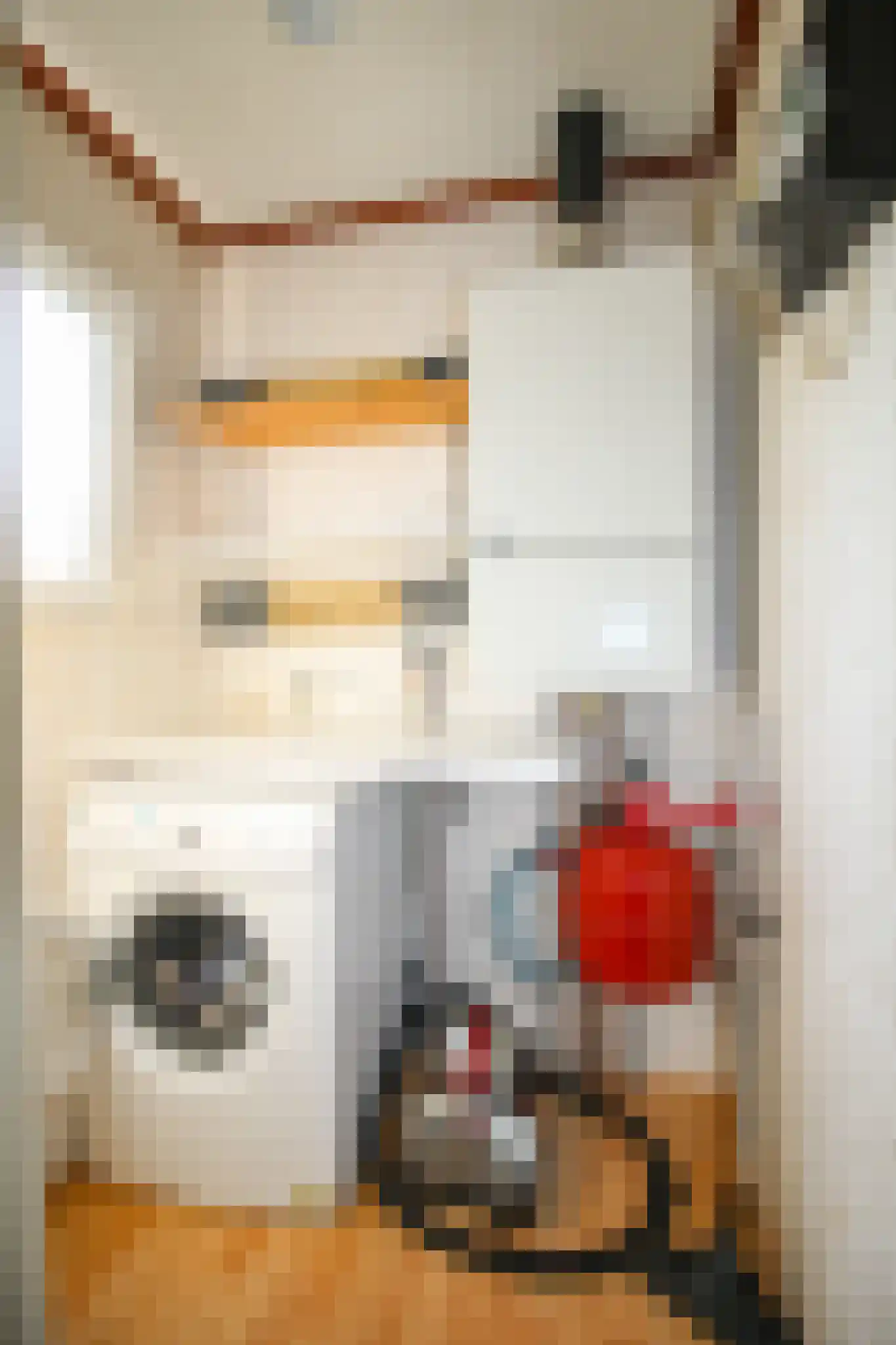 Apeldoornsestraat 48 72 Voorthuizen thumbnail 27