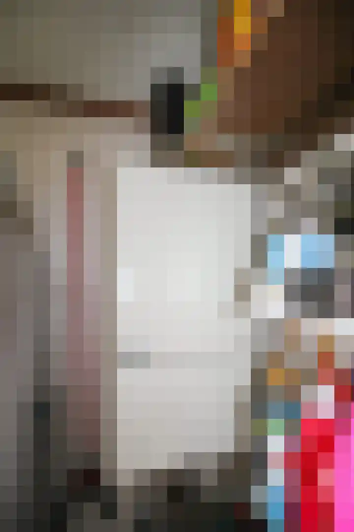 Apeldoornsestraat 48 72 Voorthuizen thumbnail 27