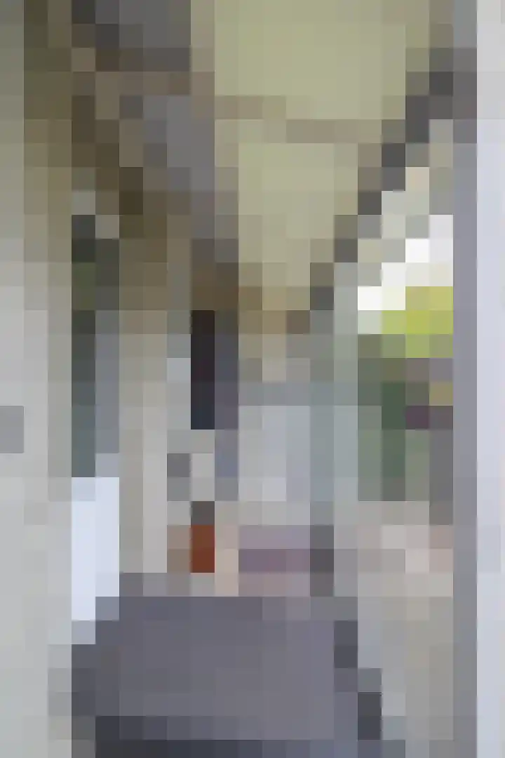 Apeldoornsestraat 48 72 Voorthuizen thumbnail 30