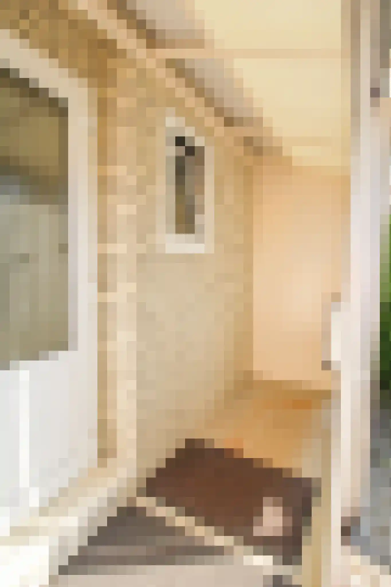 Apeldoornsestraat 48 72 Voorthuizen thumbnail 30