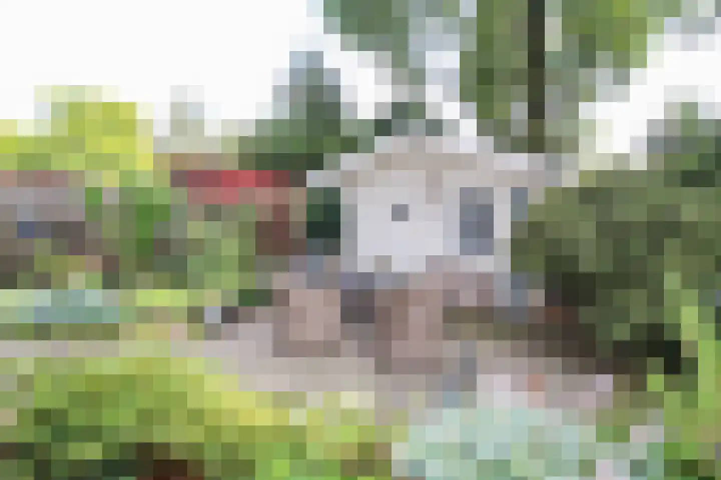 Apeldoornsestraat 48 72 Voorthuizen thumbnail 36