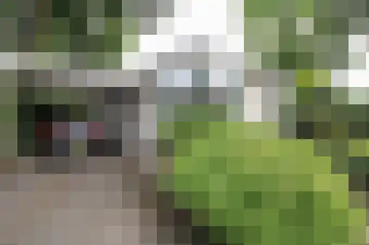 Apeldoornsestraat 48 72 Voorthuizen thumbnail 41