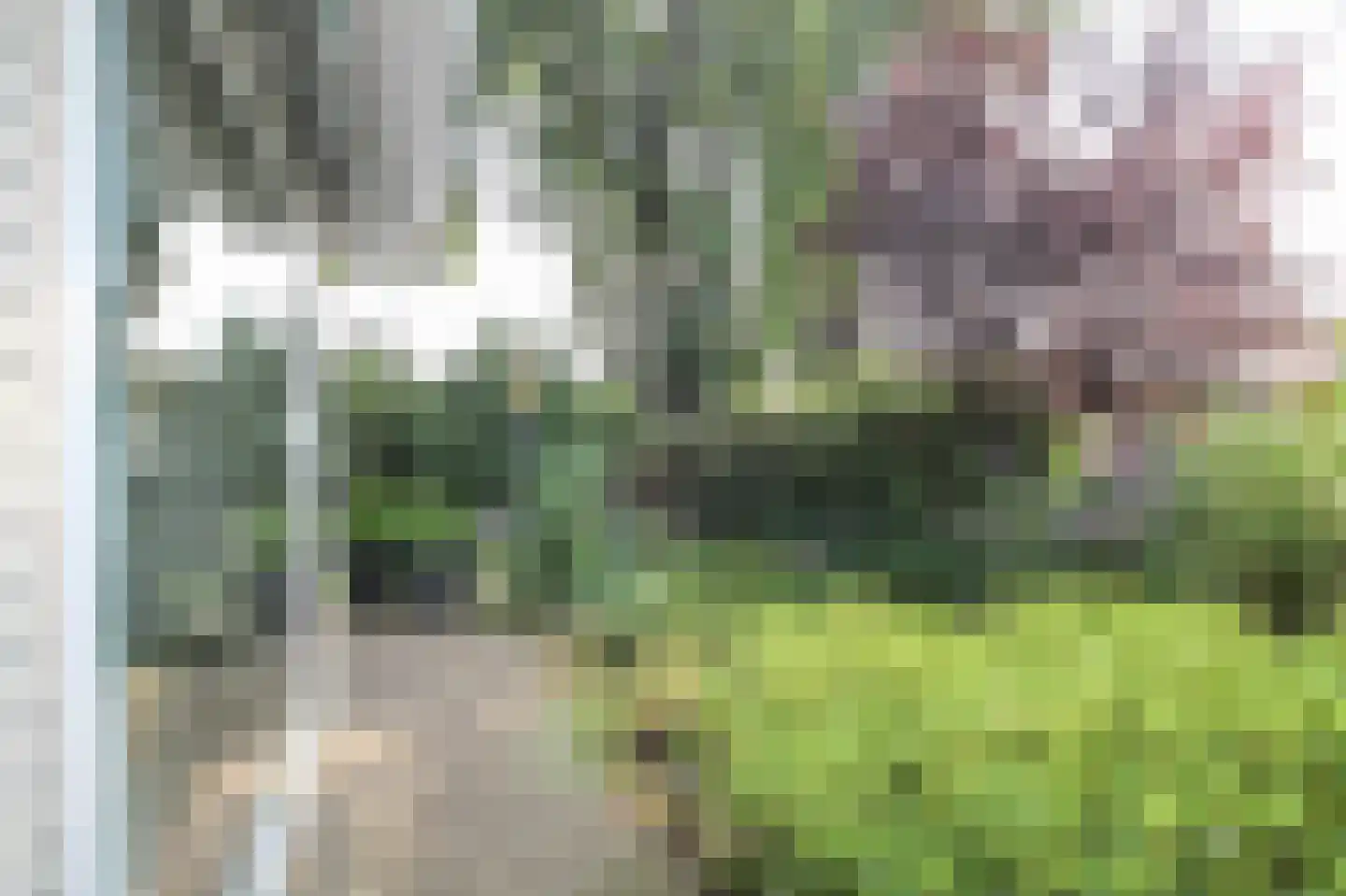 Apeldoornsestraat 48 72 Voorthuizen thumbnail 43