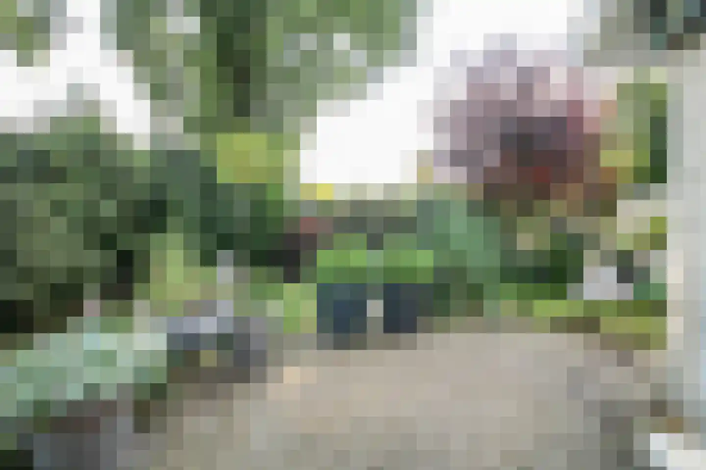 Apeldoornsestraat 48 72 Voorthuizen thumbnail 44