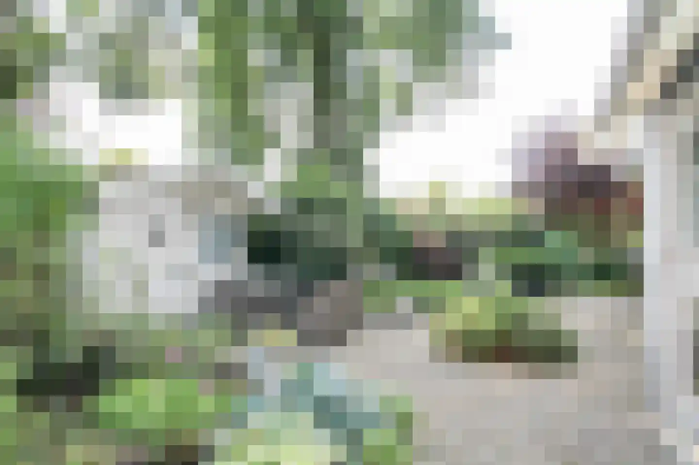 Apeldoornsestraat 48 72 Voorthuizen thumbnail 45