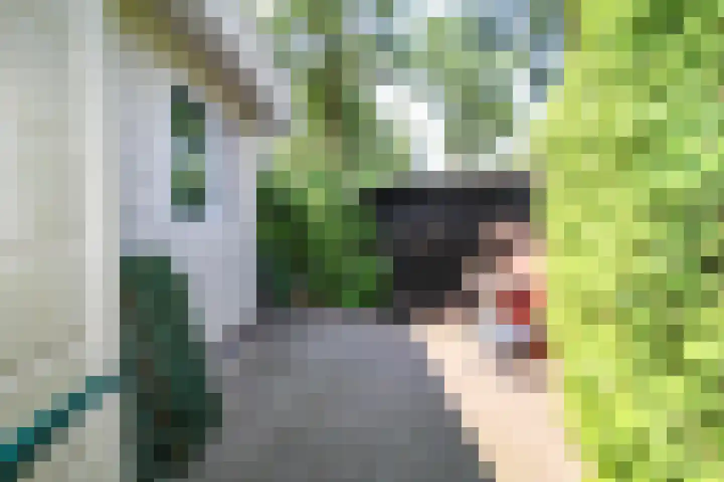 Apeldoornsestraat 48 72 Voorthuizen thumbnail 46