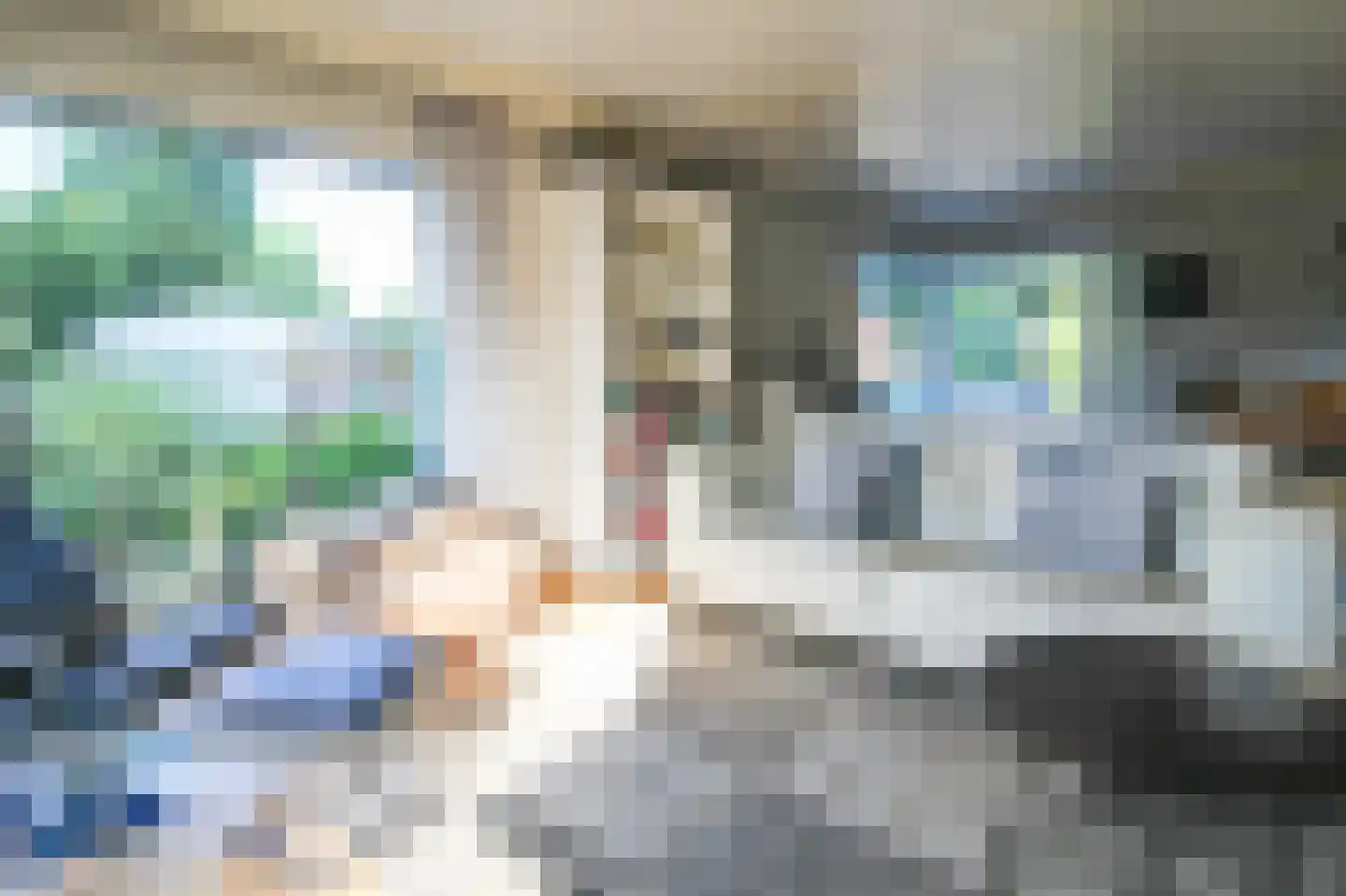 Apeldoornsestraat 48 72 Voorthuizen thumbnail 8
