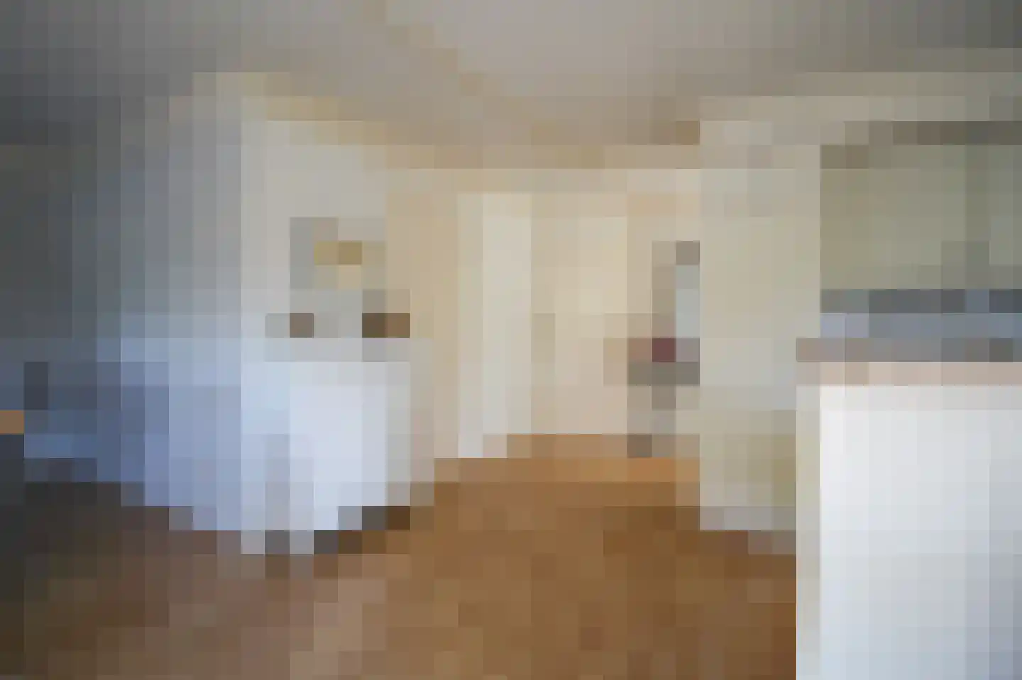 Apeldoornsestraat 48 72 Voorthuizen thumbnail 9