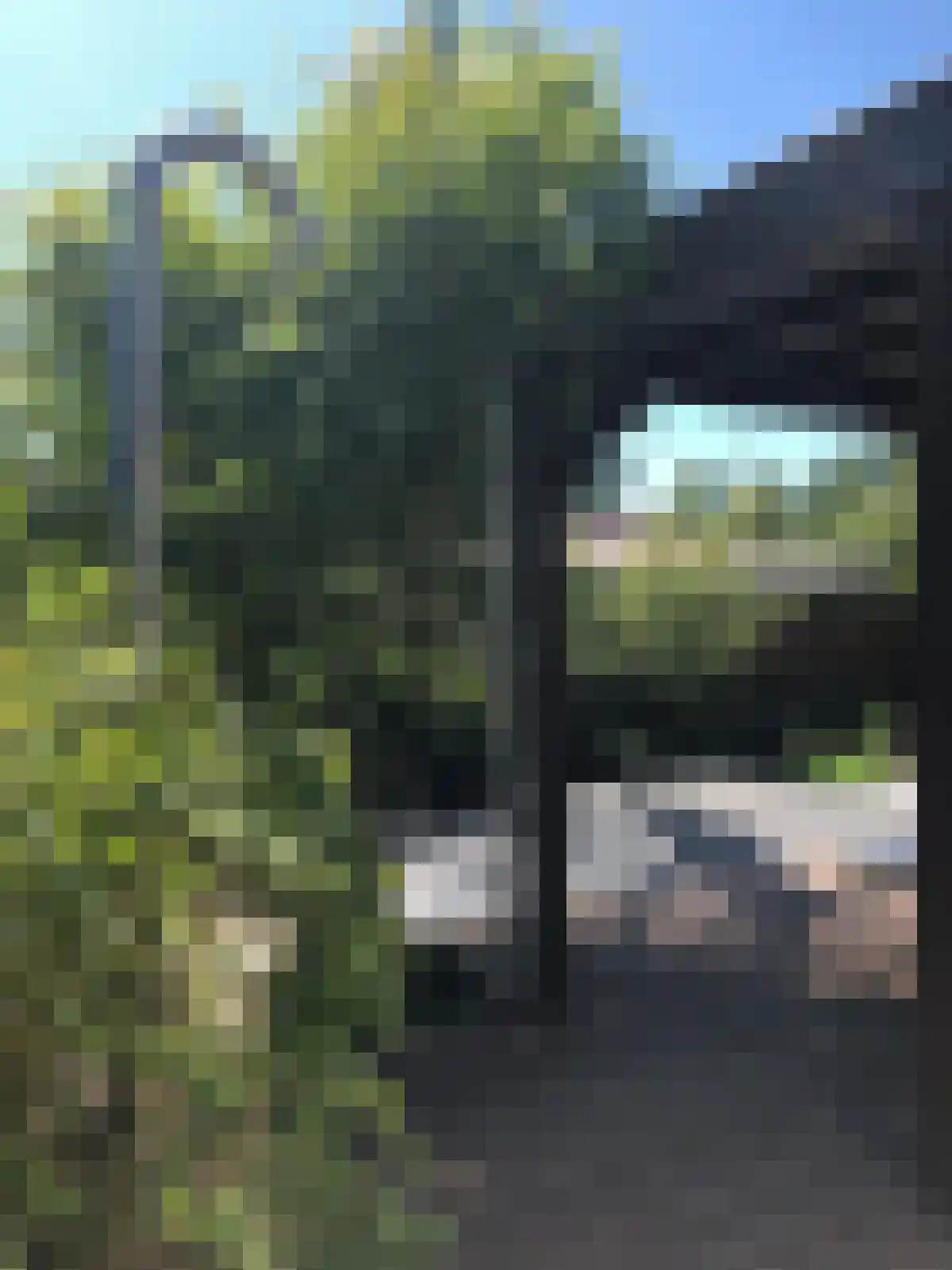 Apeldoornsestraat 48 79 Voorthuizen thumbnail 15