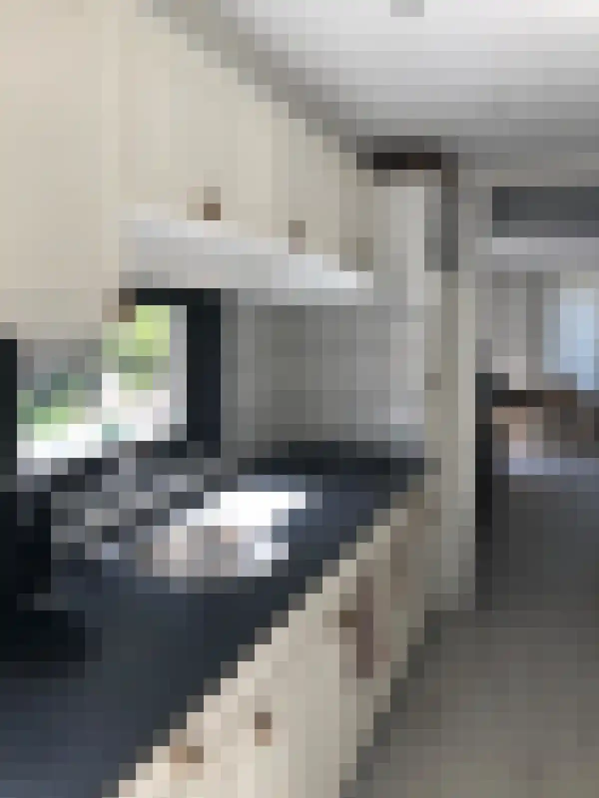 Apeldoornsestraat 48 79 Voorthuizen thumbnail 8