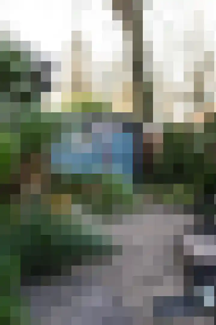 Apeldoornsestraat 48 87 Voorthuizen thumbnail 21