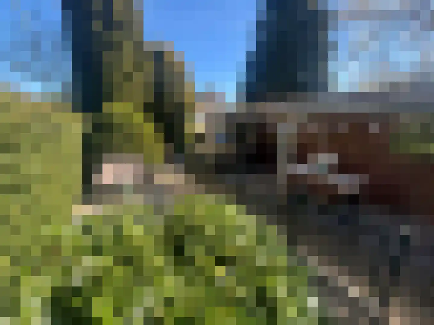 Apeldoornsestraat 48 A Voorthuizen thumbnail 8