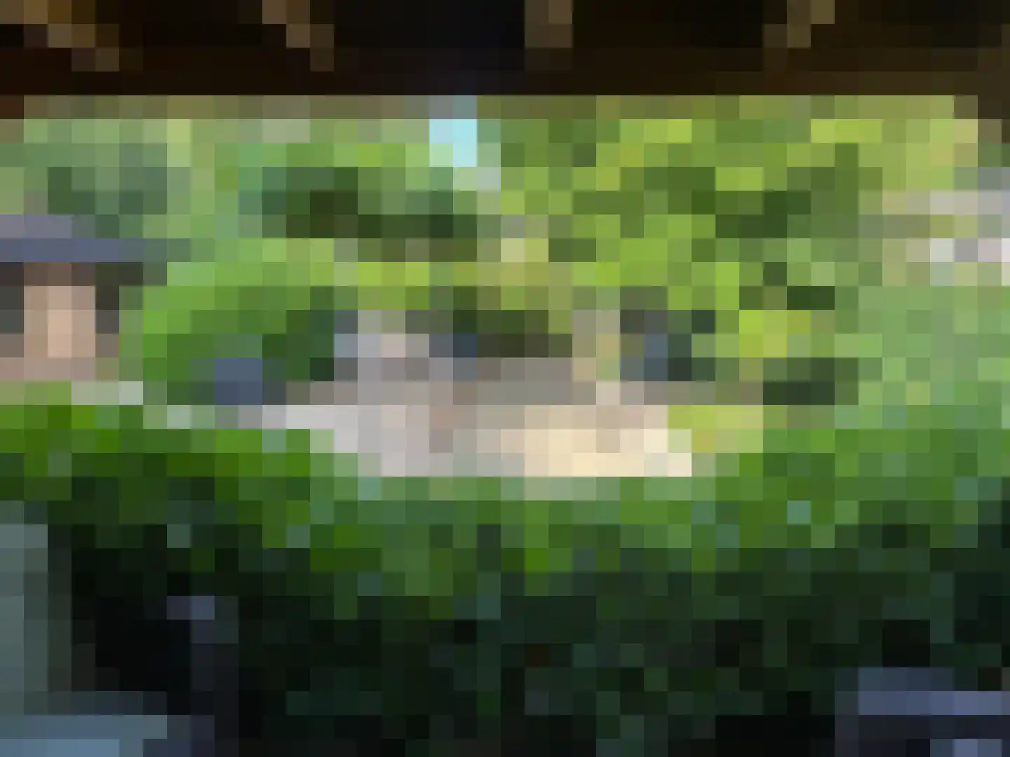 Apeldoornsestraat 48 Voorthuizen thumbnail 13