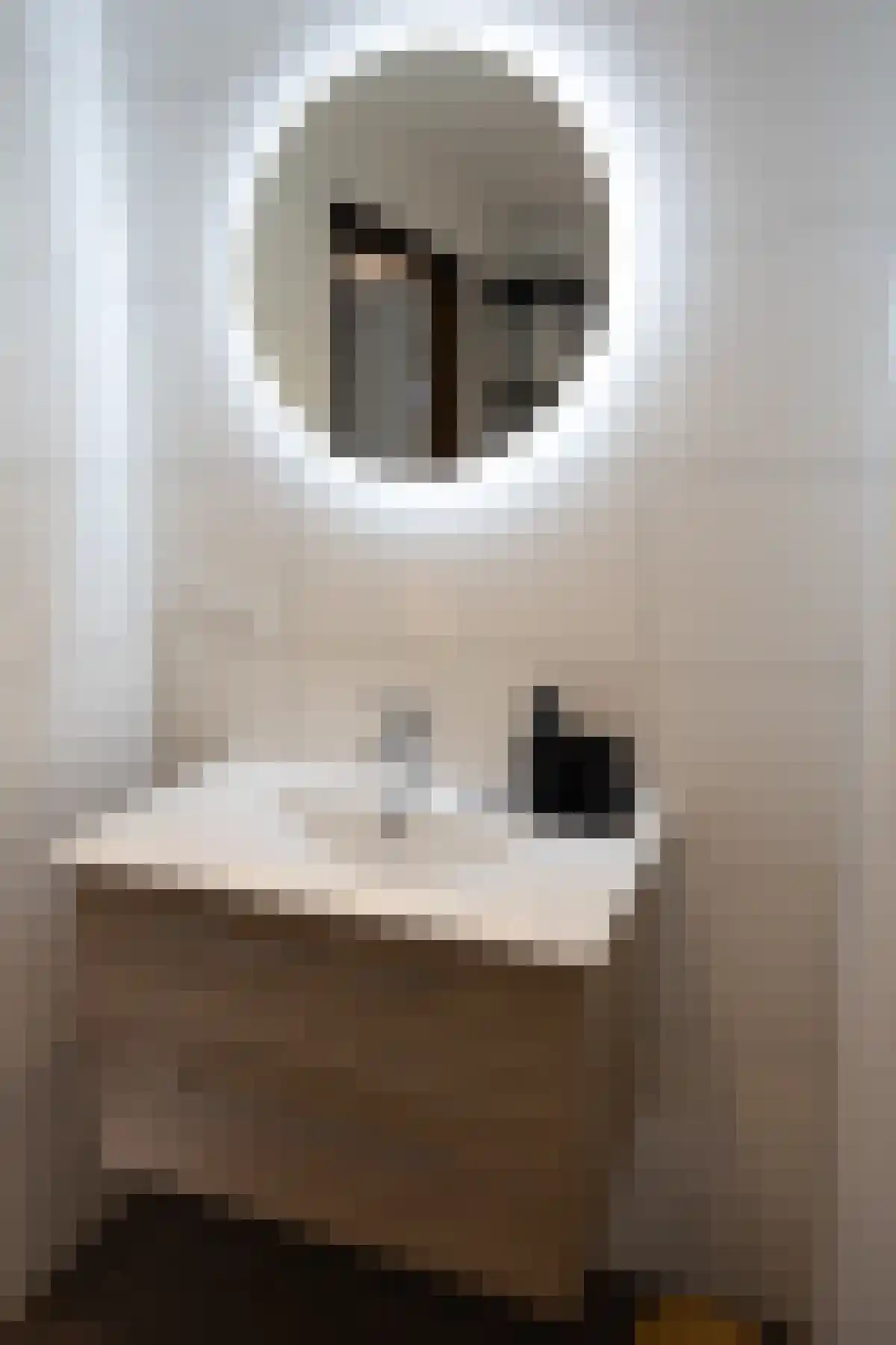 Apeldoornsestraat 48 Voorthuizen thumbnail 22