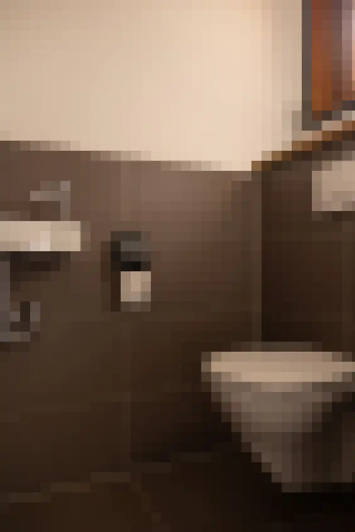 Apeldoornsestraat 48 Voorthuizen thumbnail 24