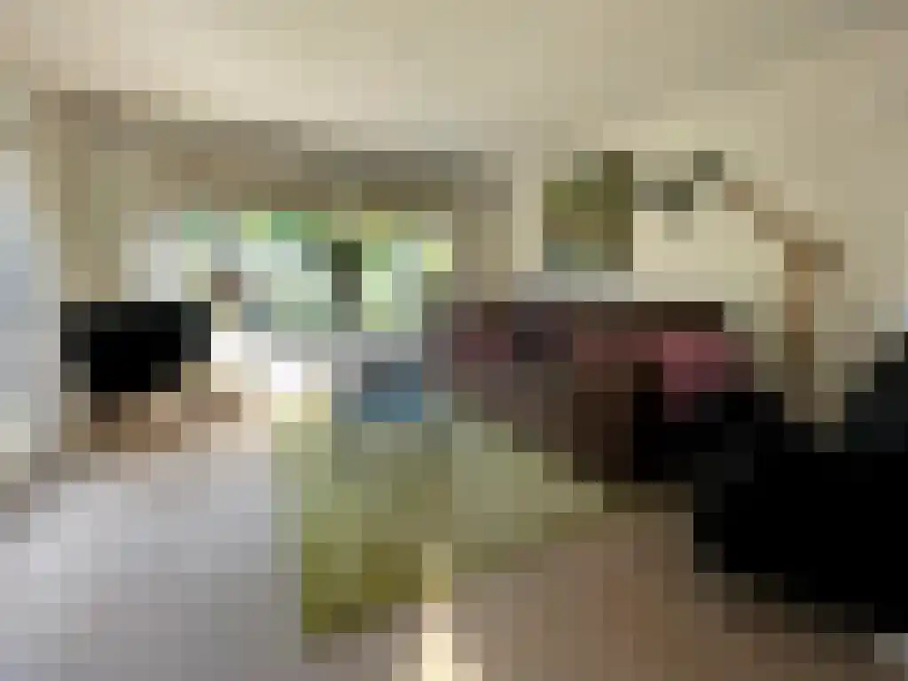 Apeldoornsestraat 48 Voorthuizen thumbnail 4