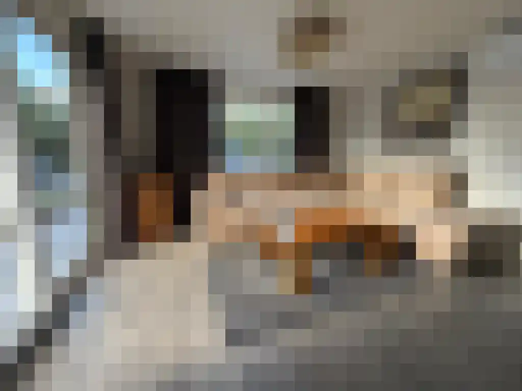 Apeldoornsestraat 48 Voorthuizen thumbnail 4