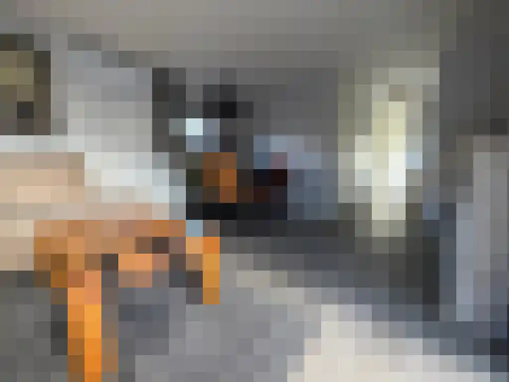 Apeldoornsestraat 48 Voorthuizen thumbnail 5
