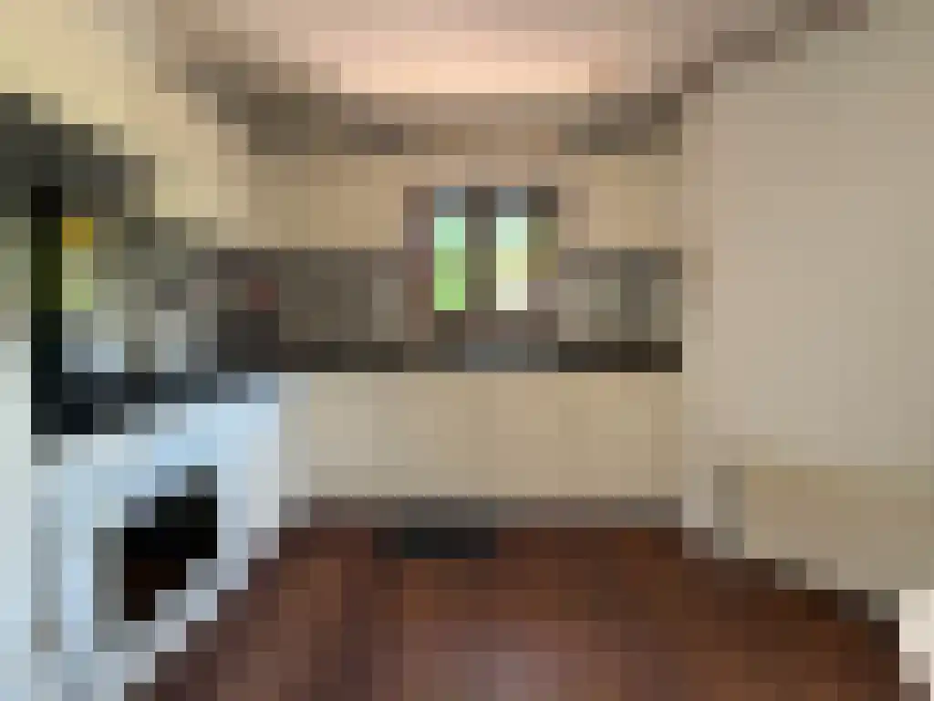 Apeldoornsestraat 48 Voorthuizen thumbnail 5