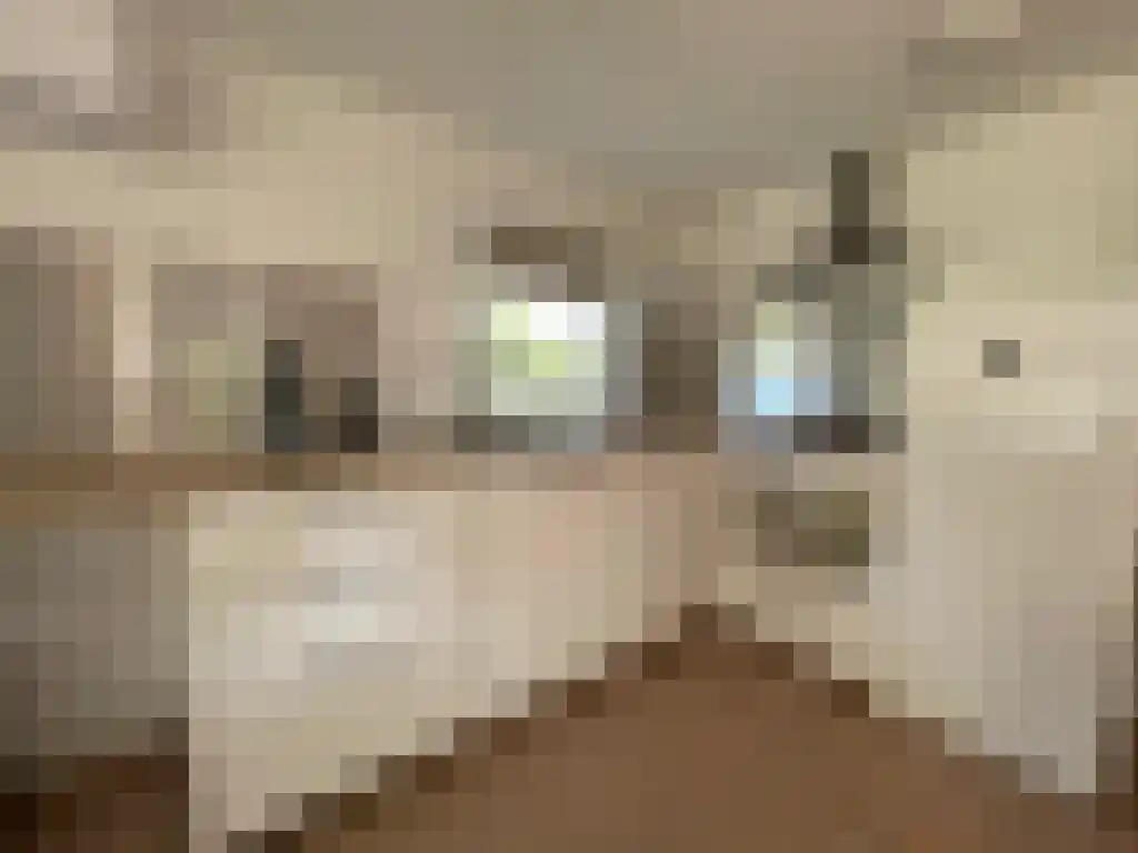 Apeldoornsestraat 48 Voorthuizen thumbnail 6
