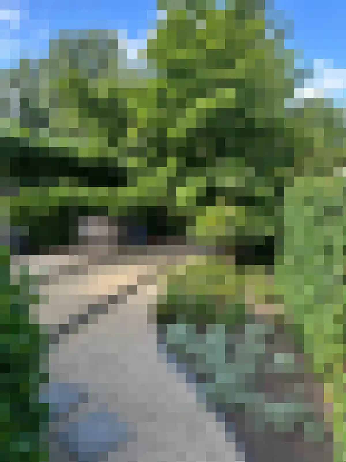 Apeldoornsestraat 48 Voorthuizen thumbnail 8