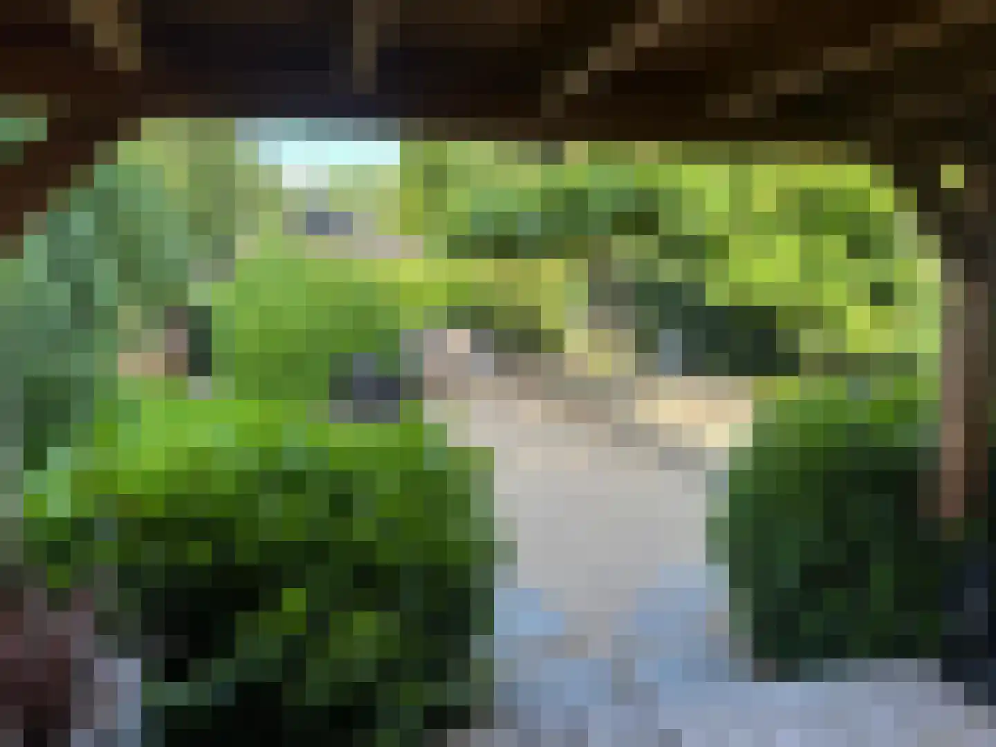 Apeldoornsestraat 48 Voorthuizen thumbnail 9