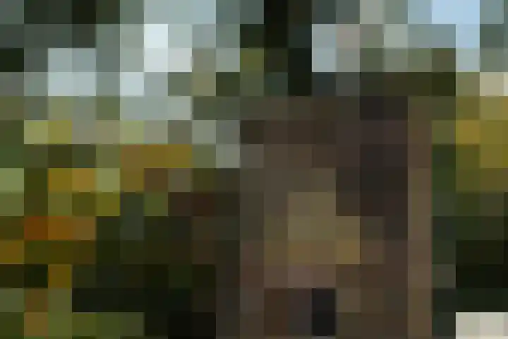 Apeldoornsestraat 54 Voorthuizen thumbnail 4